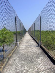 sundarban national park india