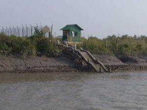 Sundarban watch tower