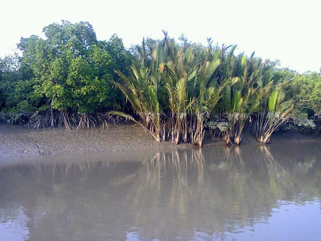 Sundarban Tour Package Booking