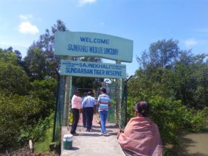 SUNDARBAN NATIONAL PARK ,SAJNEKHALI WATCH TOWER