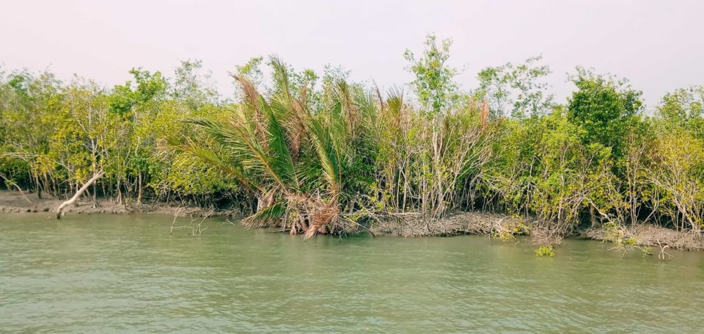 Sundarban tour 3Night 4Days