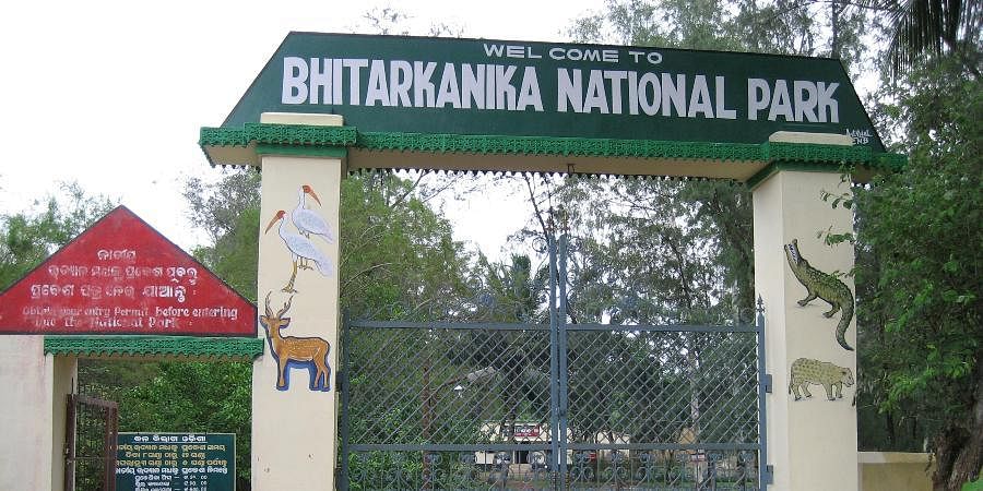 Bhitarkanika National park