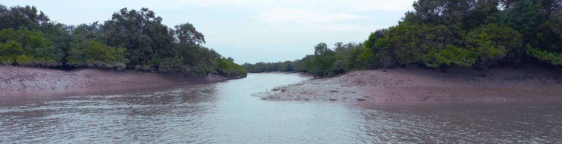 day tour sundarban package