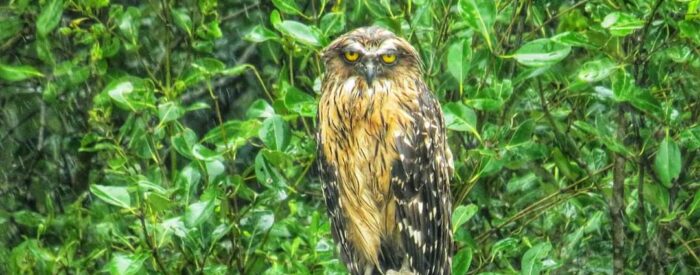 sundarban Photography package sundarban Photography package