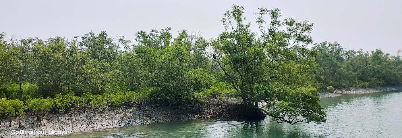 day tour sundarban package