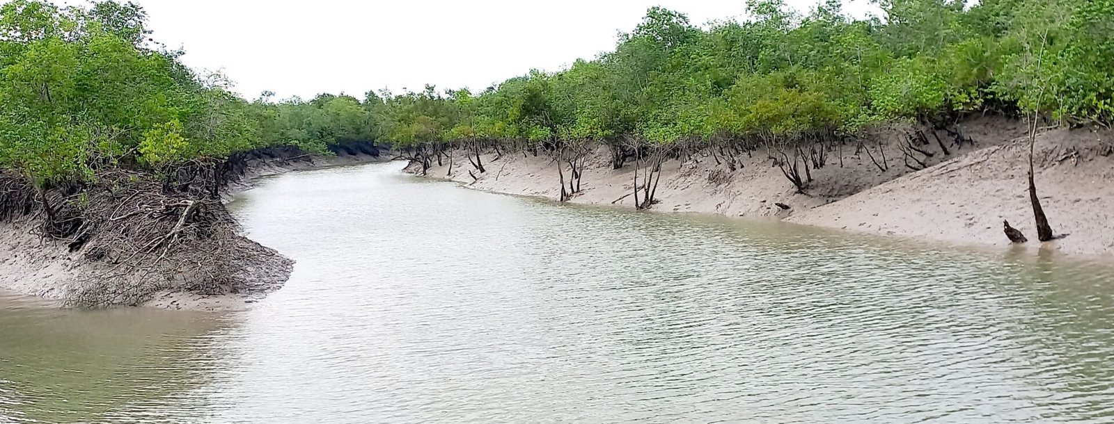 sundarban tour package