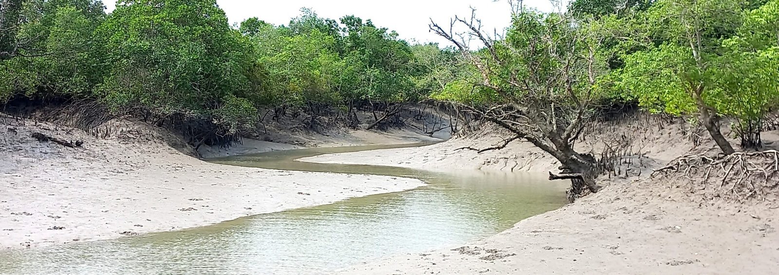 sundarban package cost