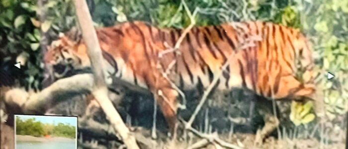 sundarban core zone package sundarban core zone package