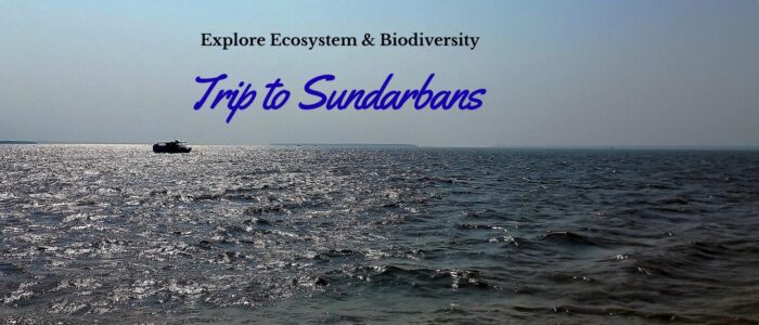 Explore Ecosystem & Biodiversity trip to sundarbans