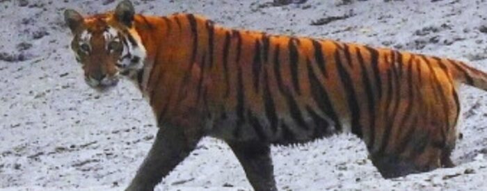 Sundarban tour package Sundarban tour package