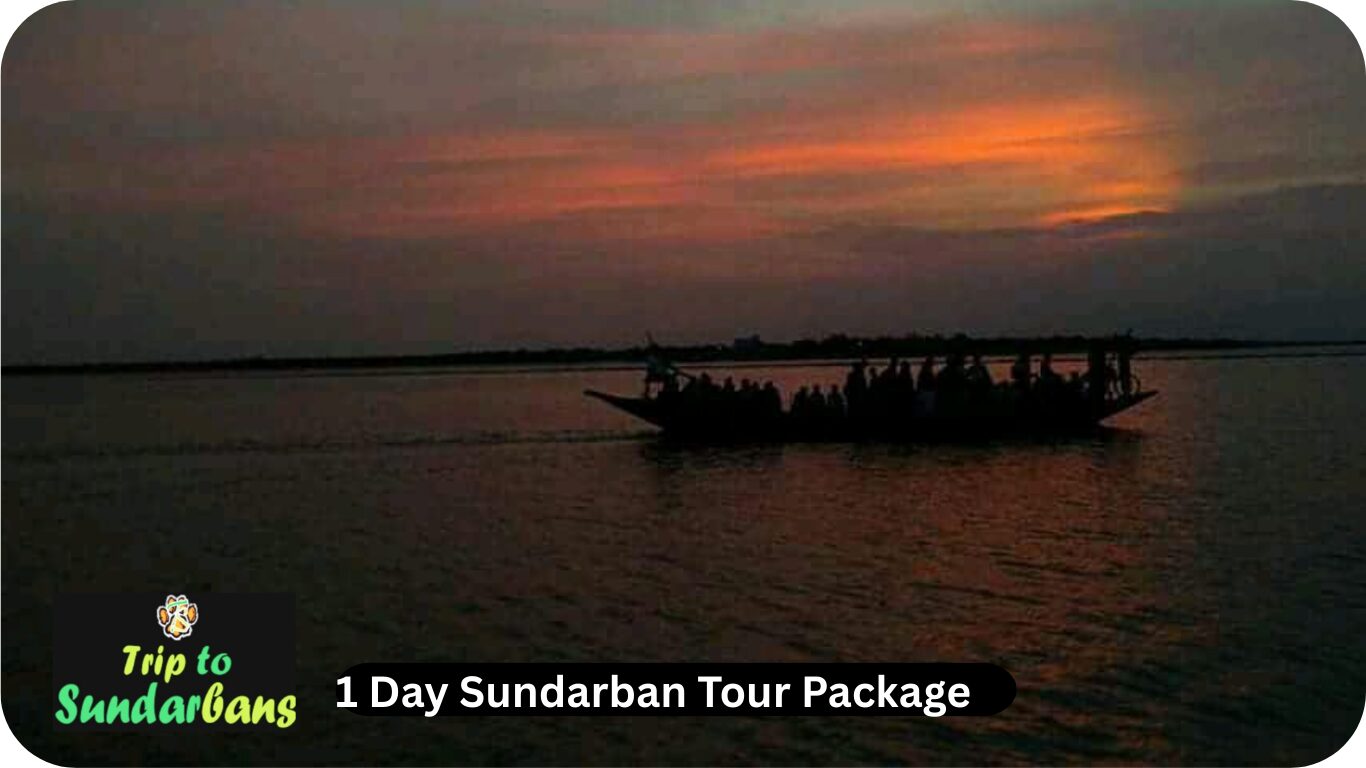 day tour sundarban package