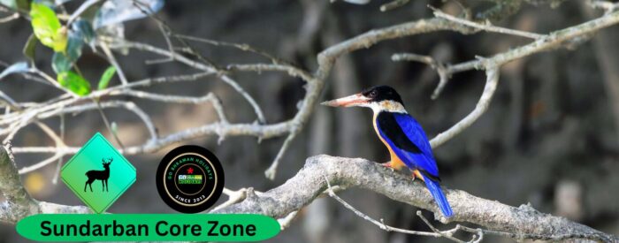 Sundarban Core Zone packages Sundarban Core Zone package