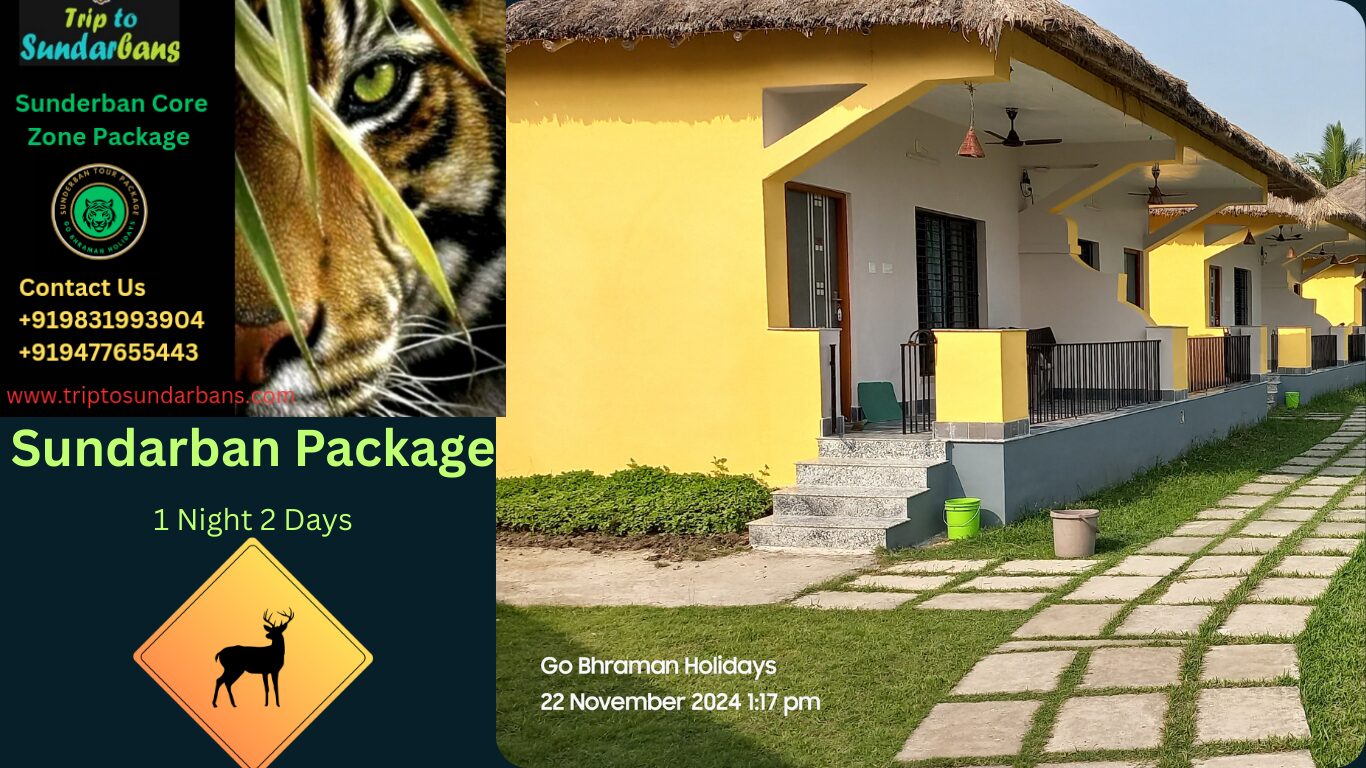 Sundarban Package Sundarban Package 1 night 2 days