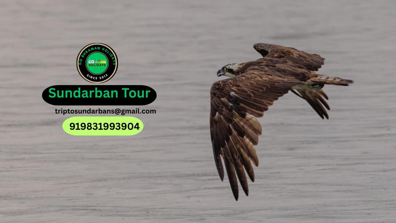Sundarban Photography Tour