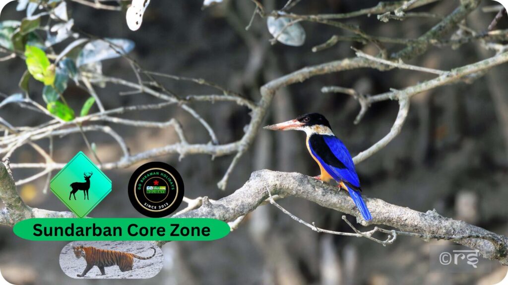 Sundarban package from canning