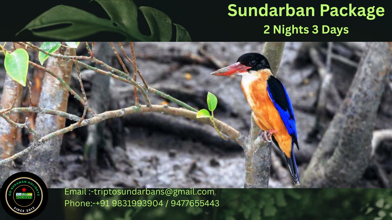 sundarban tour from canning