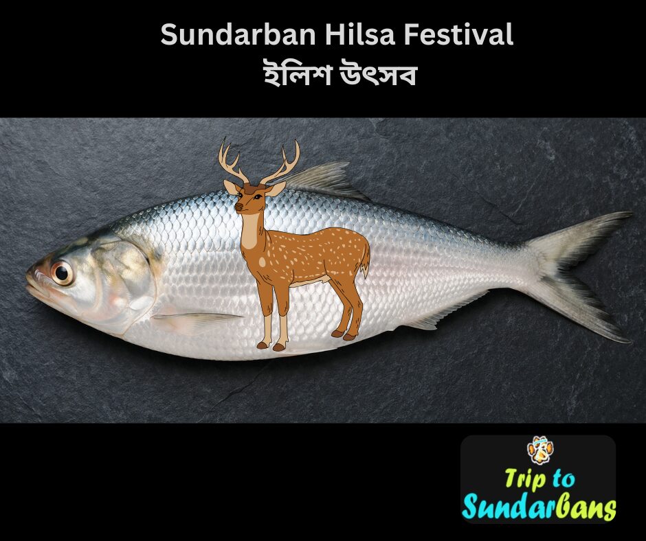 Sundarban Hilsa Festival