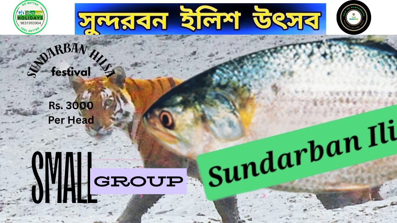 Sundarban hilsa festival