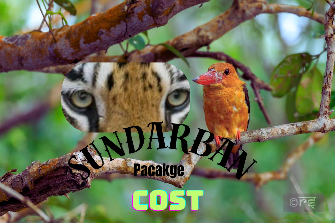 sundarban tour package cost sundarban tour package cost