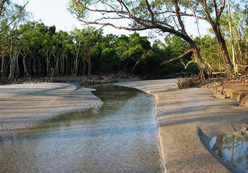 Sundarban package