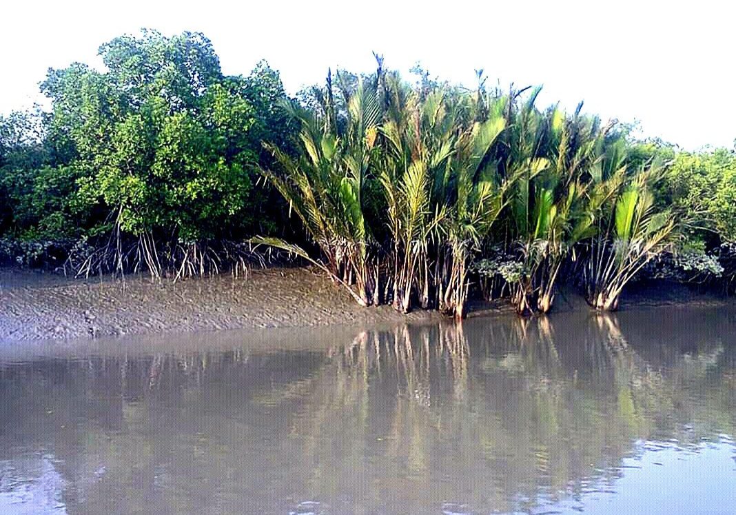 sundarban tour 2 night 3days