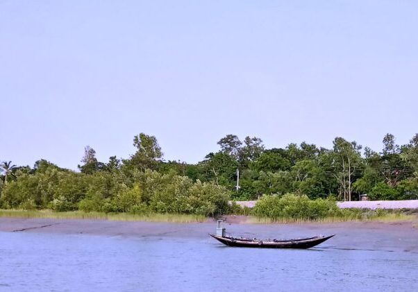 sundarban tour itinerary