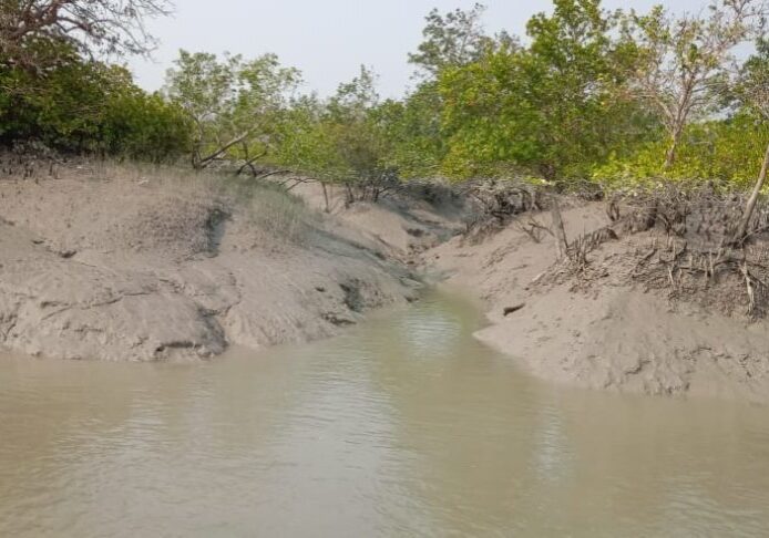 sundarban tour 1night 2 days