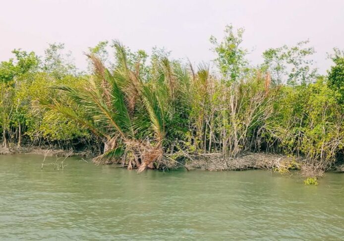 Sundarban tour 3Night 4Days