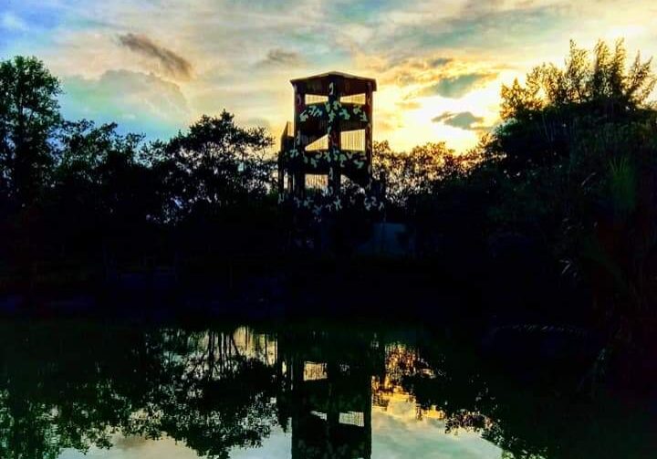 sundarban watch tower