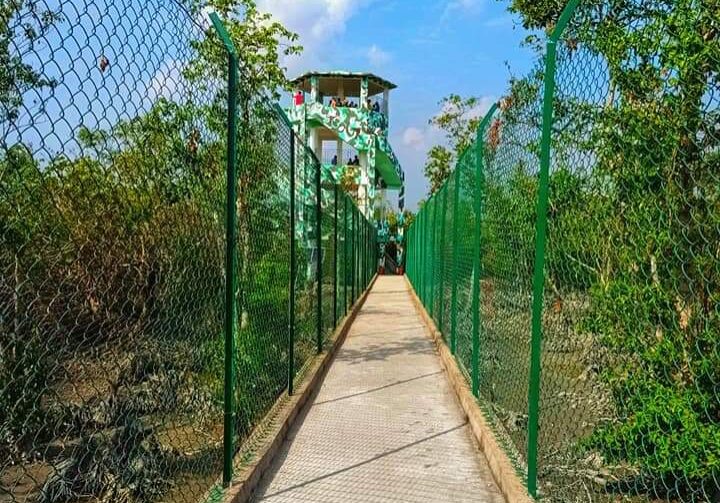 sundarban watch tower