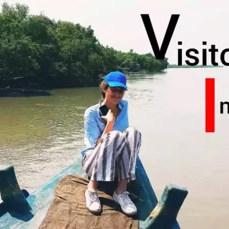 visitors information sundarban