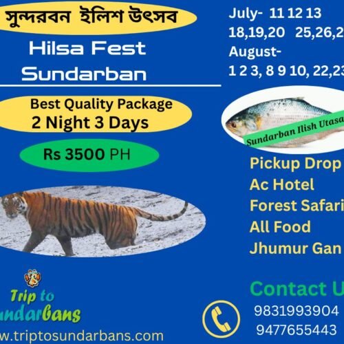 sundarban hilsa festival sundarban hilsa festival