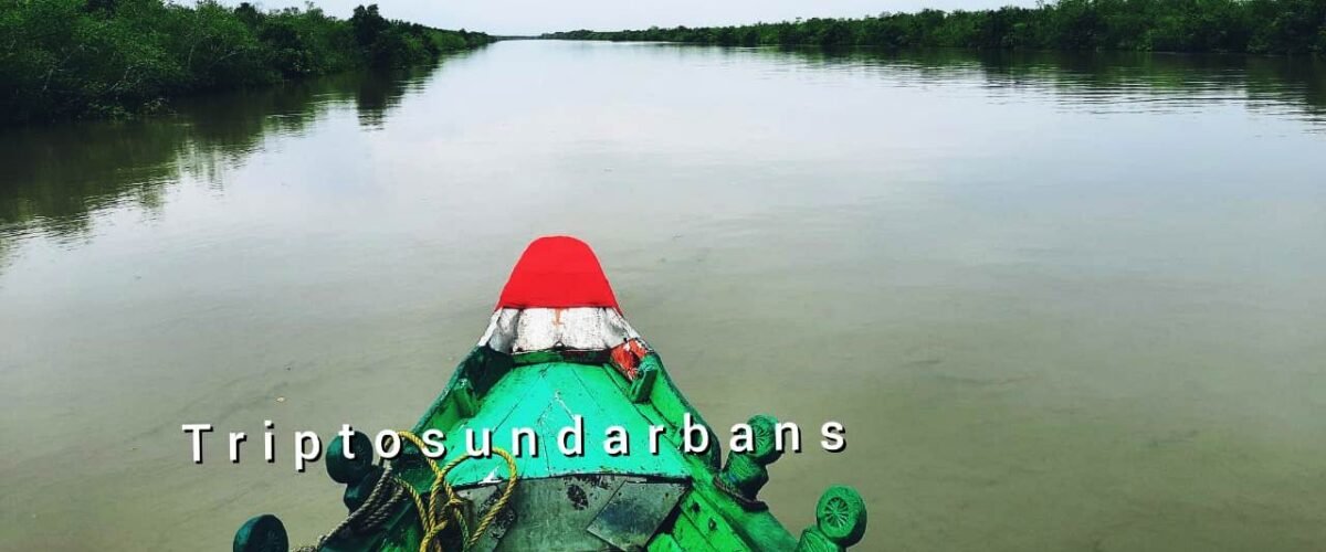 sundarban tour package 1 night 2 days